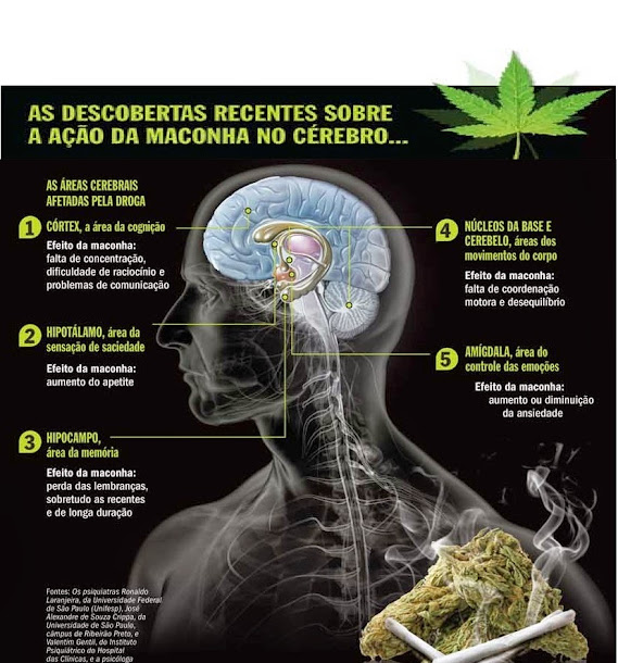 O consumo regular de maconha pode alterar o cérebro. O consumo regular de maconha pode alterar o cérebro.