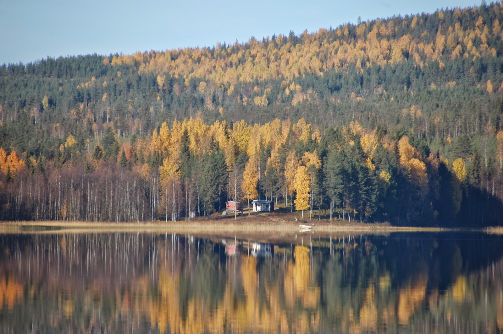 Svanå trädgård: december 2014