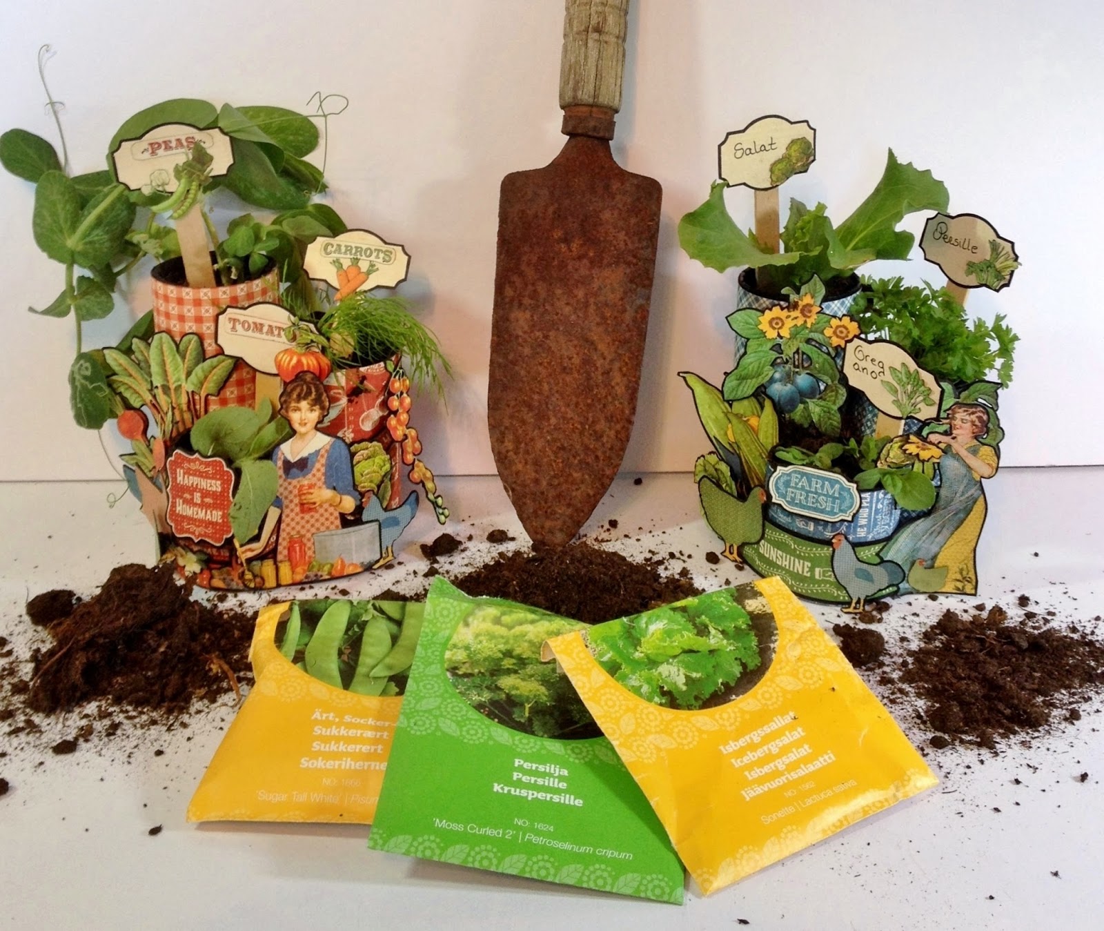 annes papercreations how to make seed pots using toilet toilet paper rolls in flower pots