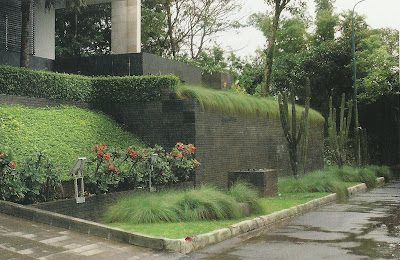 Taman_a.jpg