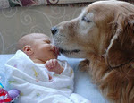 Bebé y perro