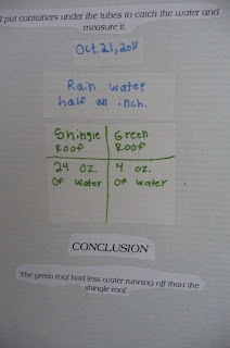 The Henry Family Adventures: Science Fair Project