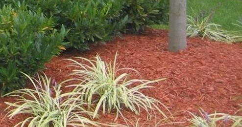 W & W Nursery & Landscaping: Mulch: How to Use it & Prevent Problems