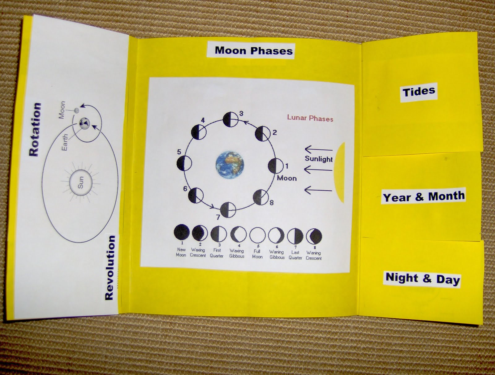 Bookish Ways In Math And Science Unit Resource Portfolio Oceans