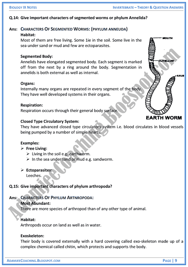 invertebrata-theory-notes-and-question-answers-biology-notes-for-class-9th
