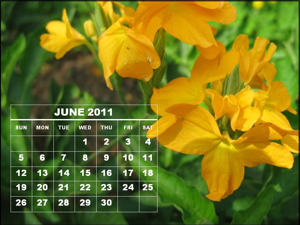 june calendar 2011 printable. CALENDAR 2011 PRINTABLE JUNE