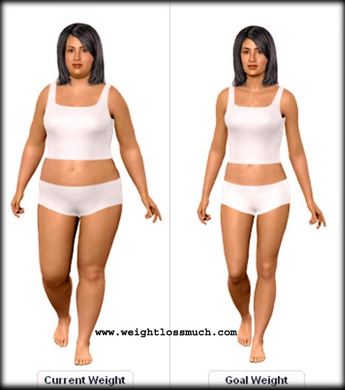 Online Weight Loss Simulator