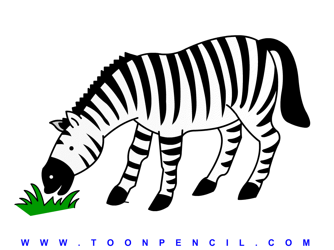 zebra drawings for kids photo1