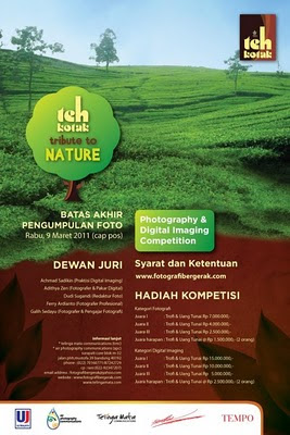 teh kotak tribute to nature photography digital imaging teh kotak tribute to nature photography digital imaging