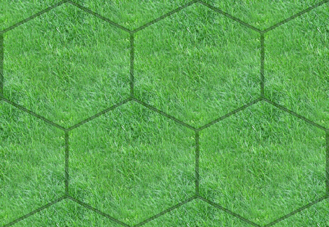 Hexagon+tile+border