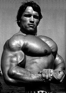 SEARCH AND BUY THIS PRODUCT Universal Information: arnold schwarzenegger