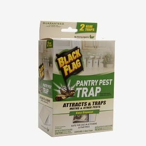 Beauty And The Budget How To Get Rid Of Pantry Moths Solutions