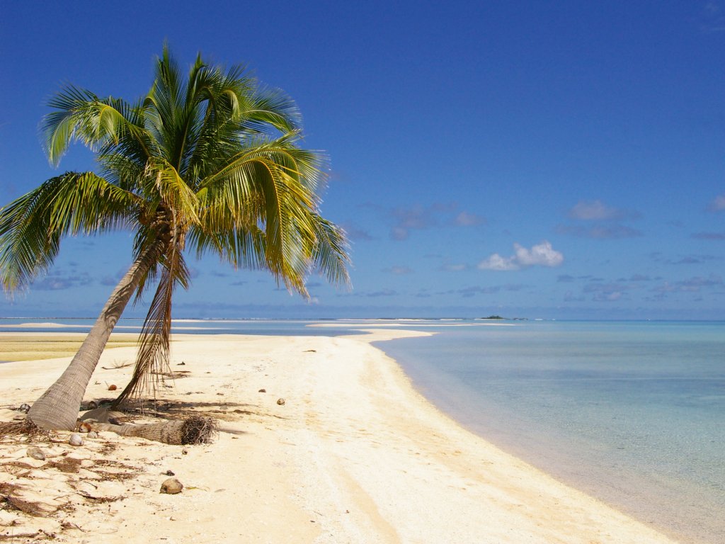 The Mira Ink Blog: Desert Island Books August Takeover - Part 6