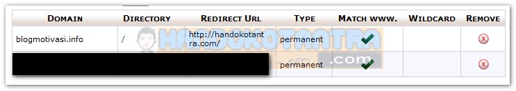 redirect 301 permanen domain di Cpanel sukses