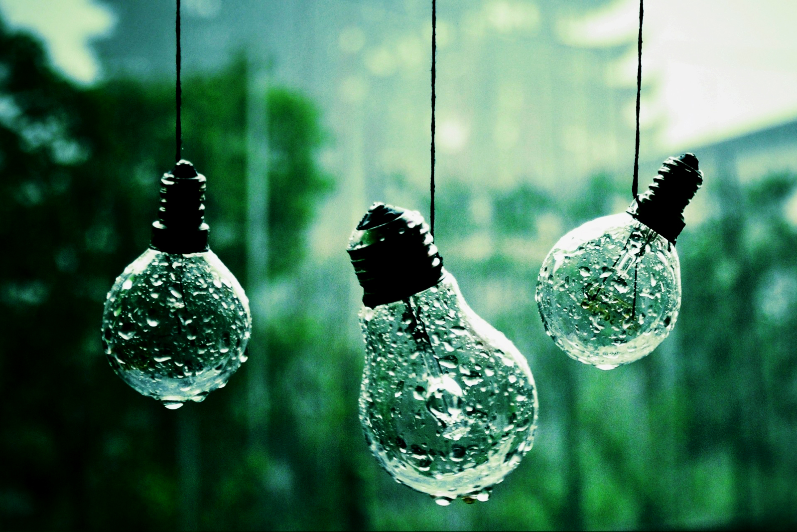 Light Bulb HD Wallpapers Stock Photos Download Free Wallpapers in HD ...