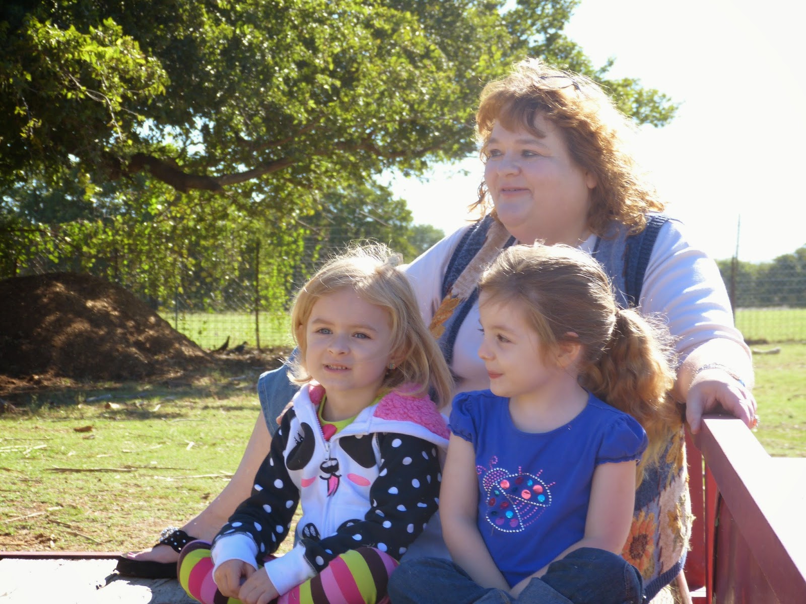 Paula's Primary Classroom Lowes Miniature Farm Field Trip!