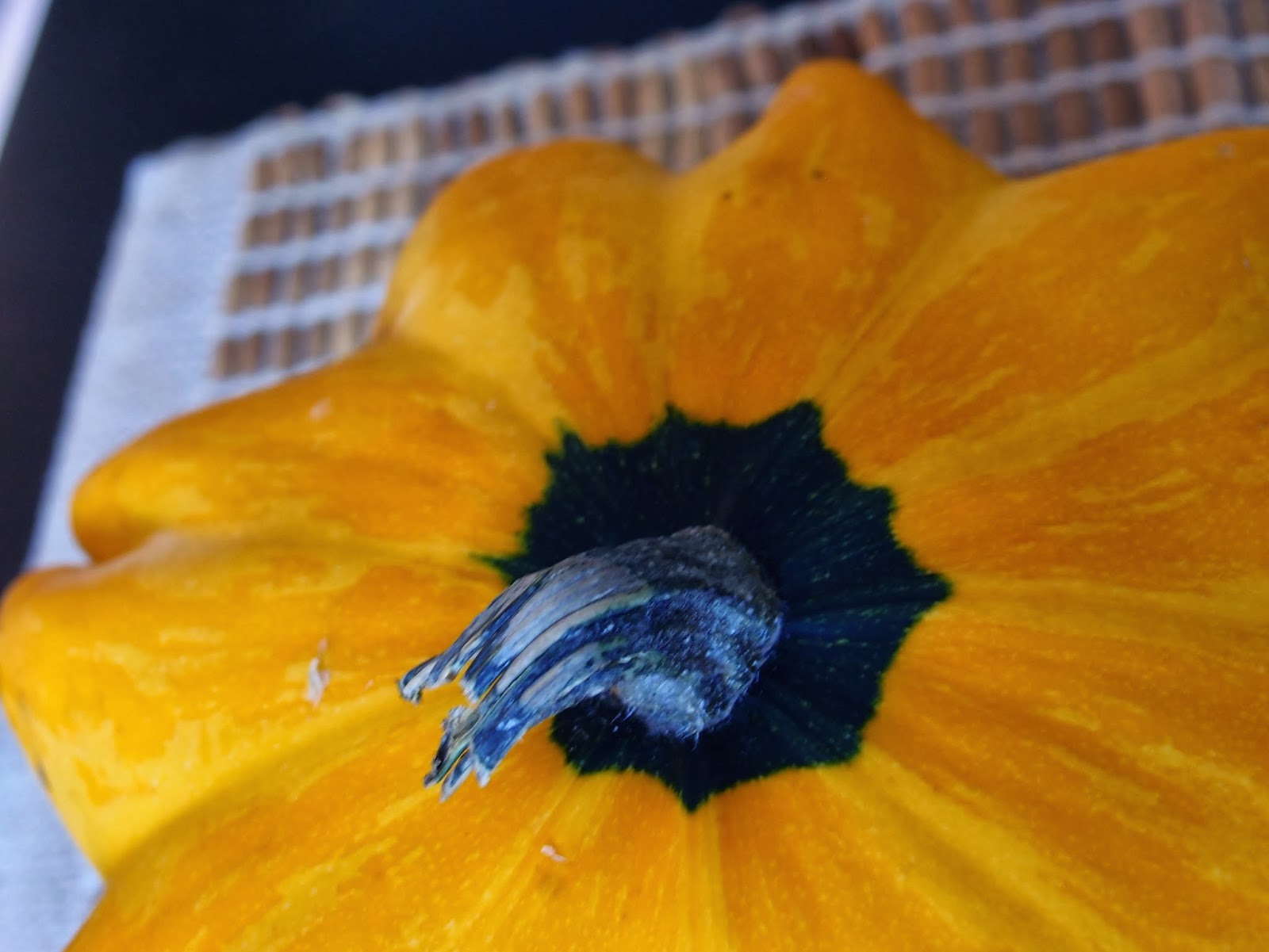 The VegHog Honey glazed flying saucer squash with chipotle chili mash