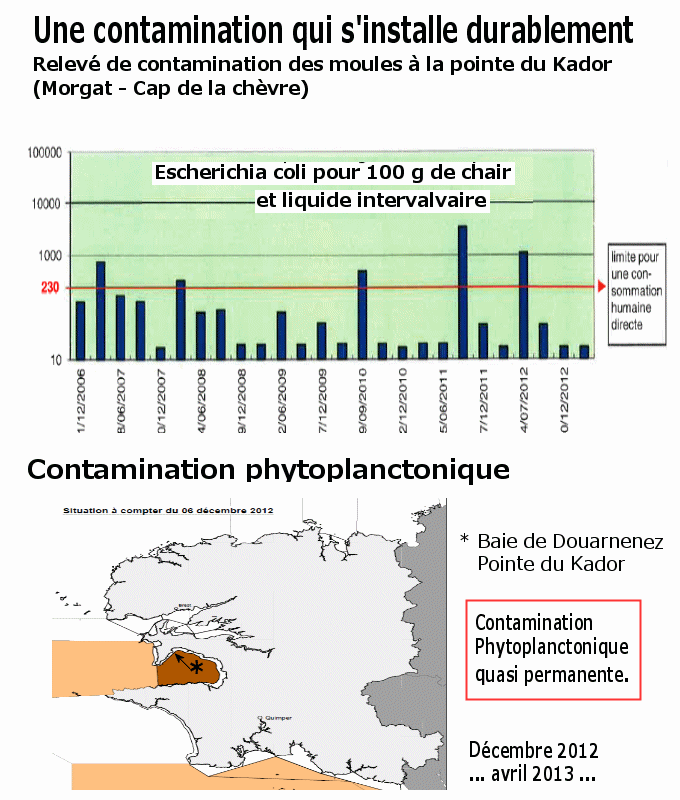 Pollution en baie de Douarnenez