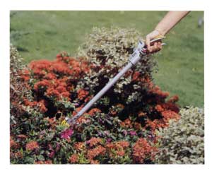 Suministros Industriales Cofan: Podadora Manual de Largo Alcance