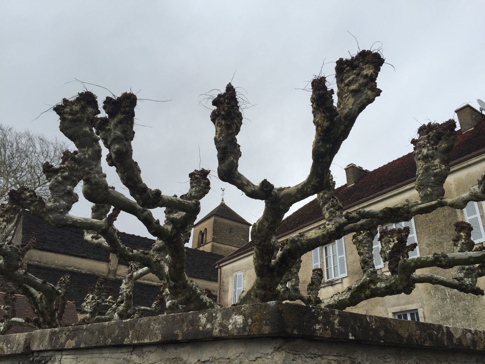 Chateau-Chalon in February