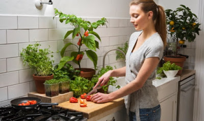 Tips sehat memasak sayur -  kegiatan ibu rumah tangga sehari hari