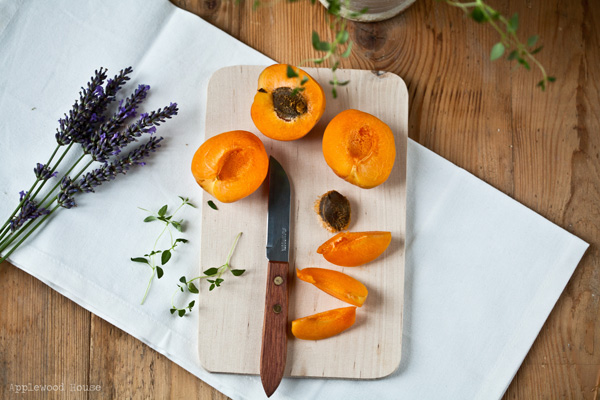 Lavendel Aprikosen Thymian