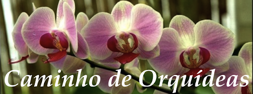 Caminho de Orquídeas