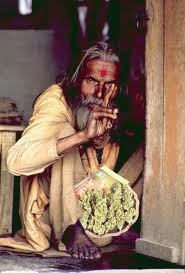 Leis de maconha no mundo Leis sobre maconha na América e na Índia