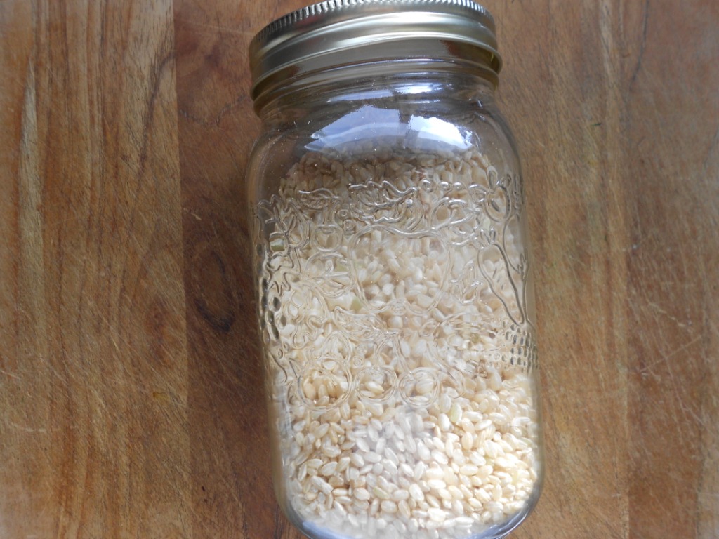 Snacking Squirrel Homemade Brown Rice Flour