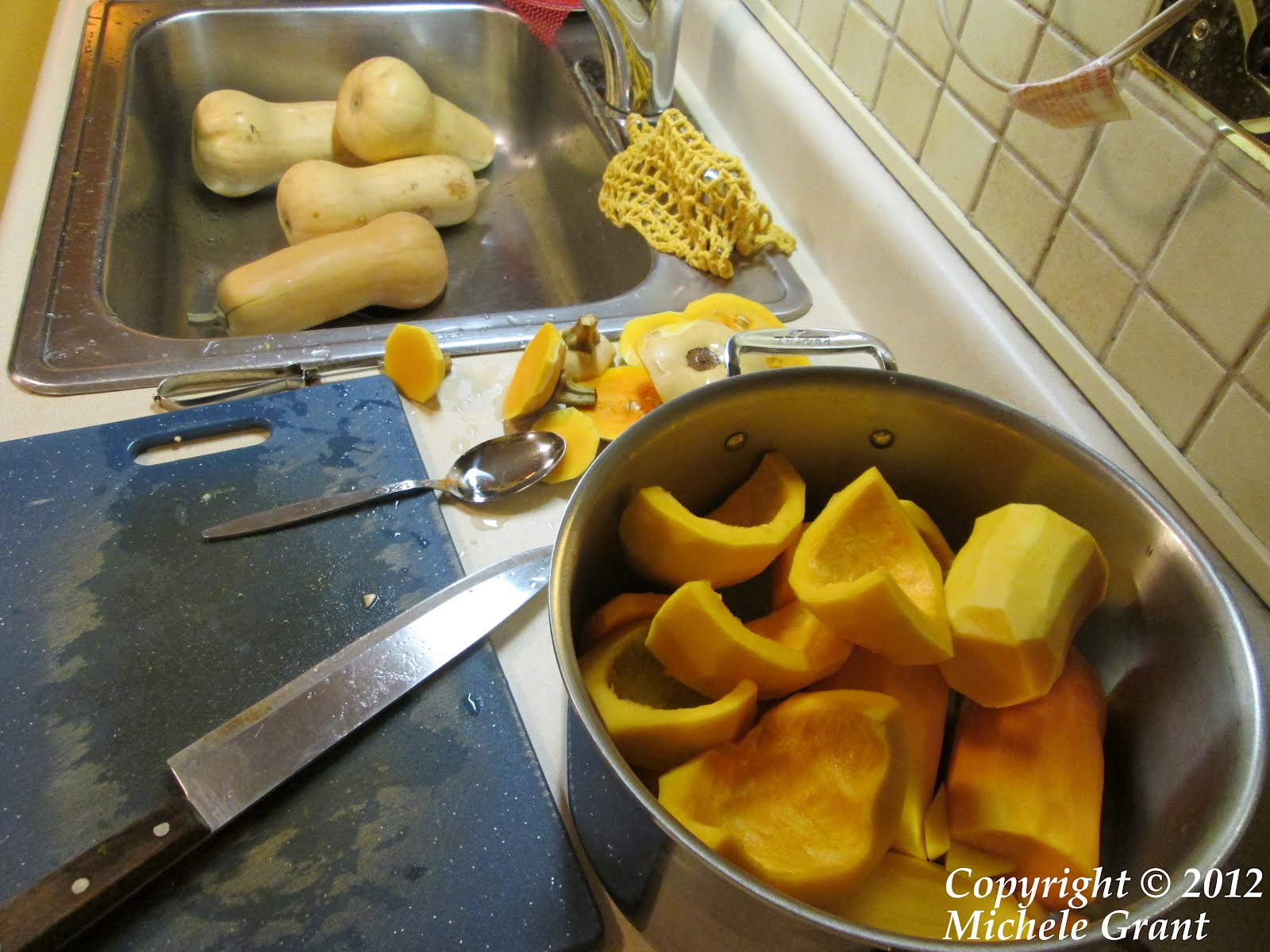 Rowhouse Livin' Canning winter squash the USDA way