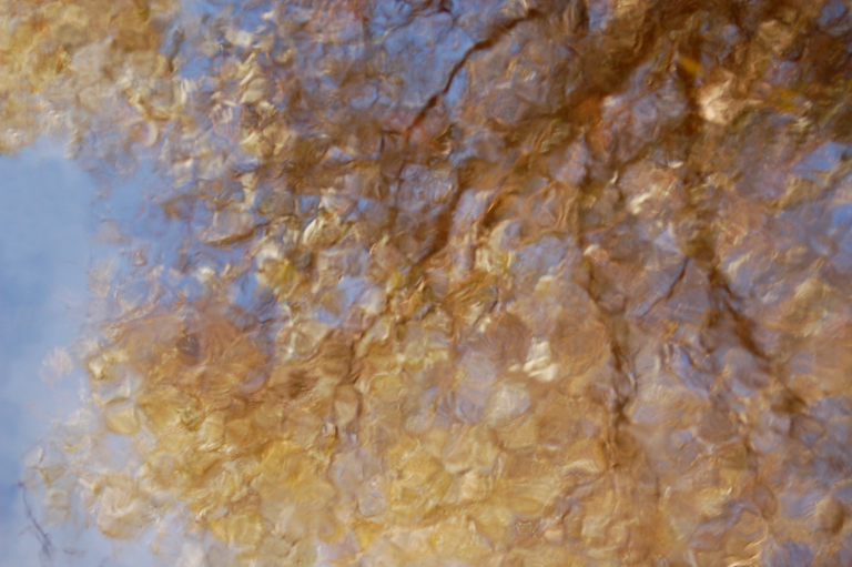 Advertise on Design Fixation! Design Fixation