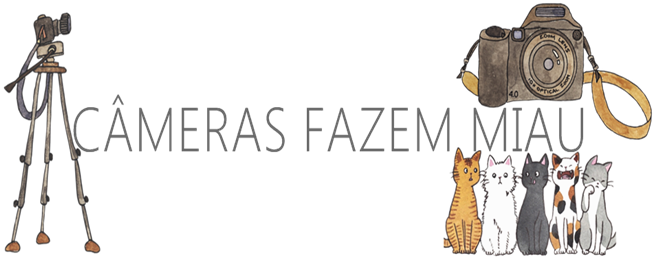 Câmeras Fazem Miau