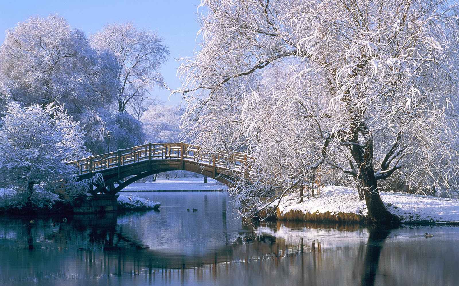 Desktop Backgrounds 4U: Winter Scenes