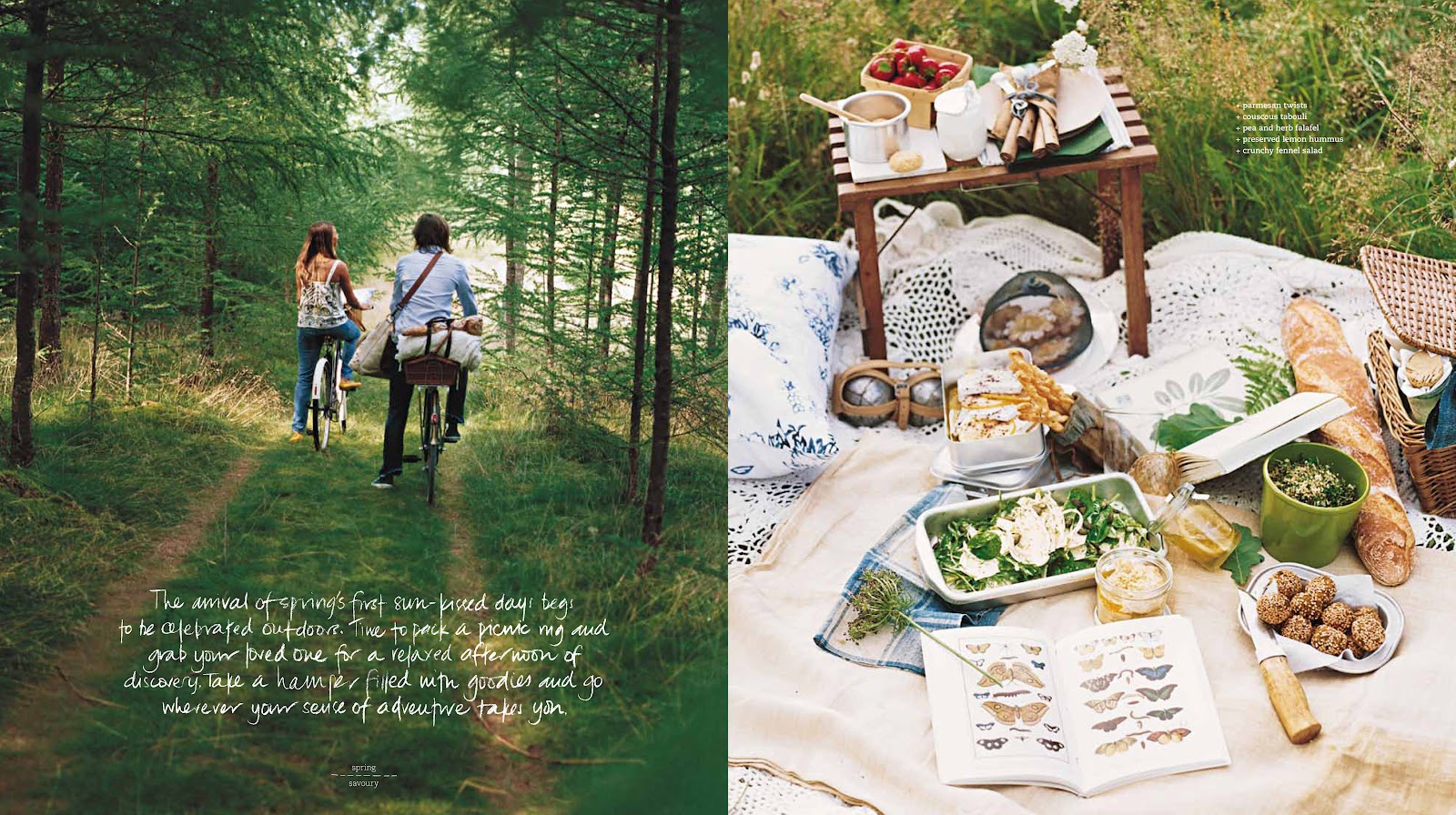 COMPETITION WIN 5 COPIES OF DONNA HAY'S NEW RECIPE BOOK typicaldaytoday