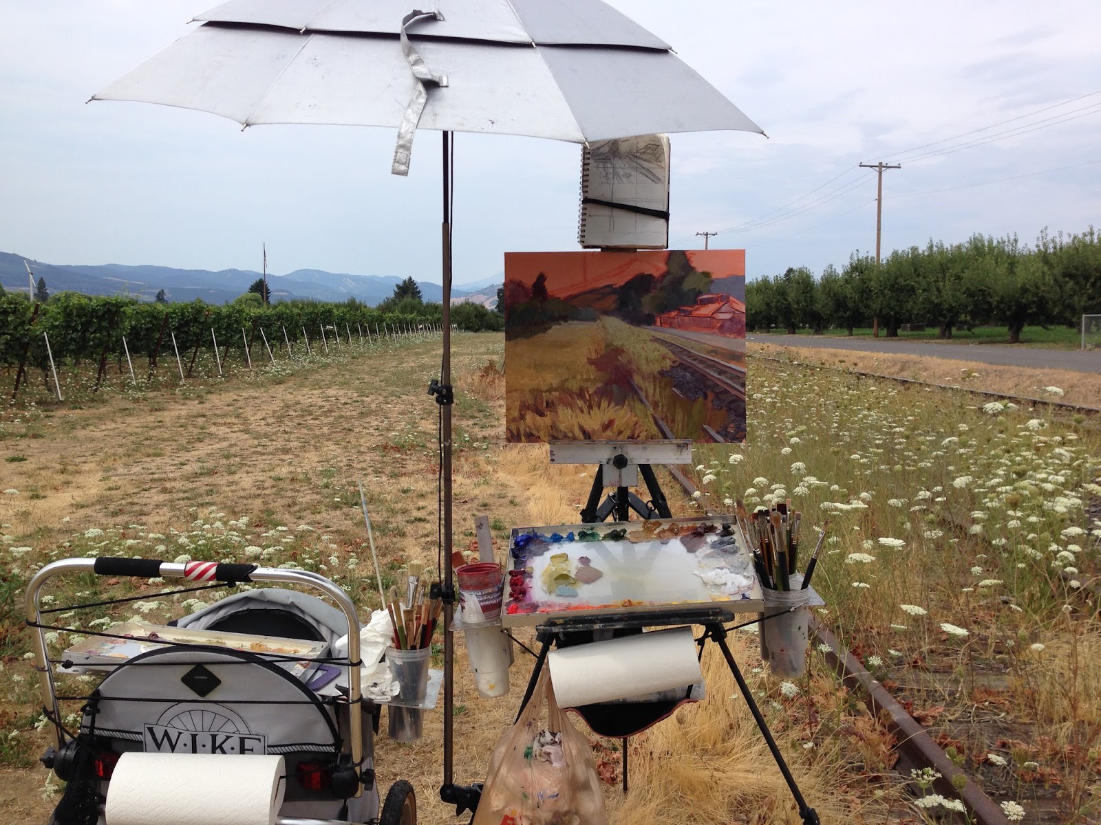 Anna Lancaster Fine Art Blog What type of Umbrella Should I use for Plein Air Painting?
