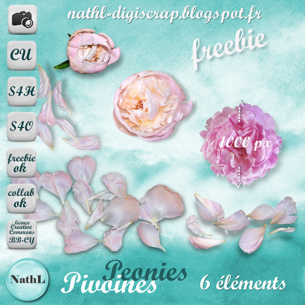 Peonies 2014 NathL-CU_pivoine-2014-pvw