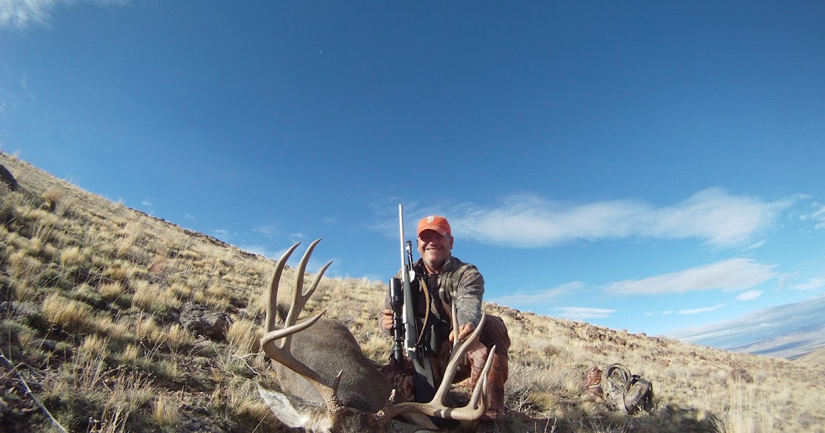 Hunting Points and Trophy Tails Nevada Mule Deer Landowner Tags Now