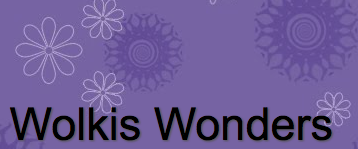 Wolkis  Wonders  Website