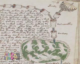 Naskah Voynich Naskah Voynich