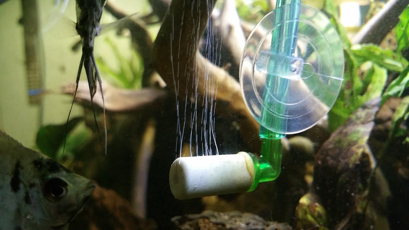 Cara Membuat Co2 Untuk Aquascape Tig Air