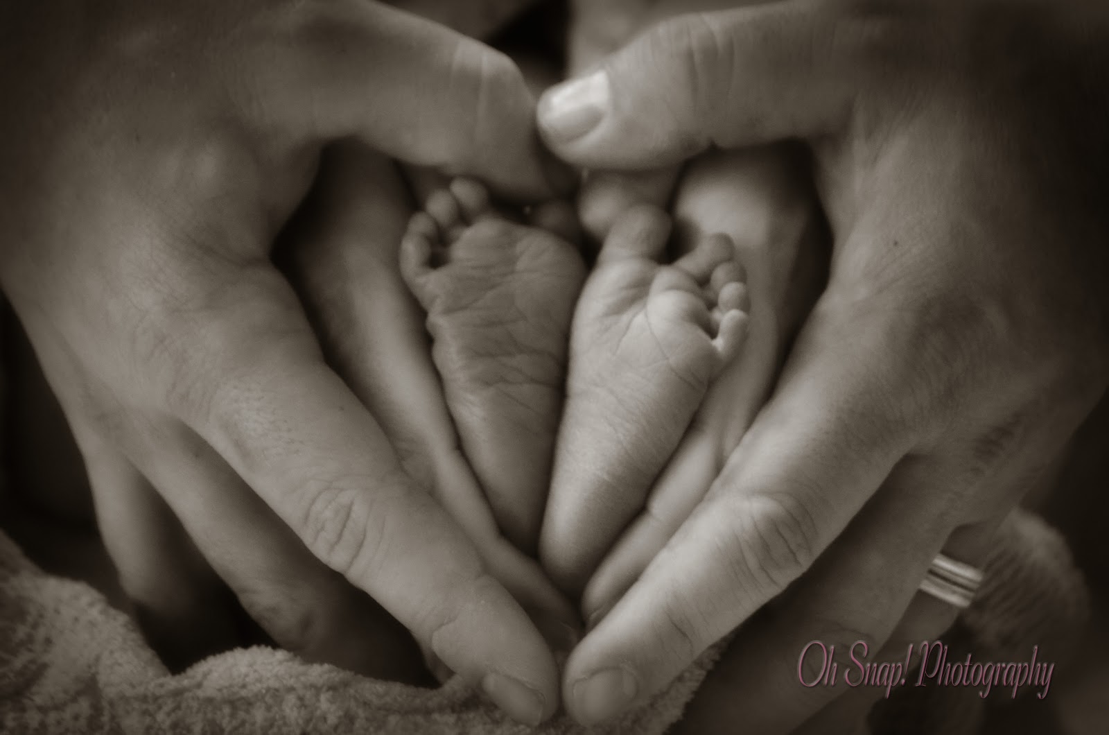 Crystals Crafty Creations Oh Snap! Photography by Crystal