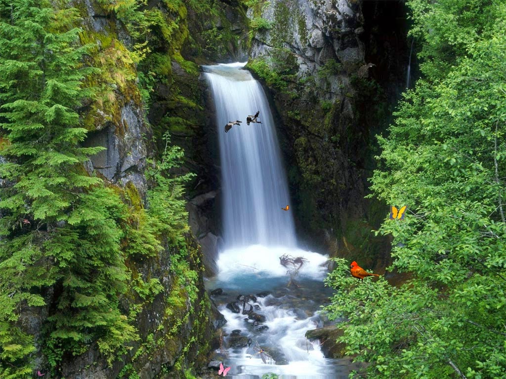 green-mountain-waterfall-beautiful-nature-images-wallpapers green-mountain-waterfall-beautiful-nature-images-wallpapers