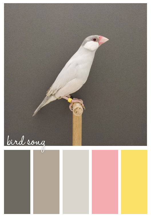 Bird Song Gold On The Ceiling
