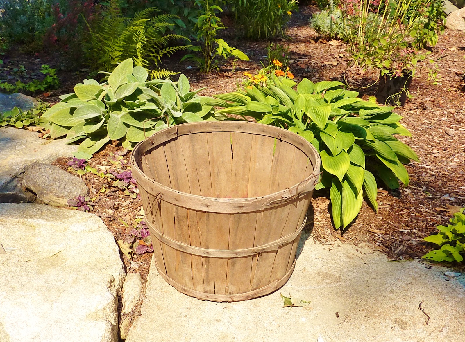 for the love of a house: garden essentials