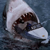 SHARK ATTACK 3: MEGALODON SHARK ATTACK 3: MEGALODON