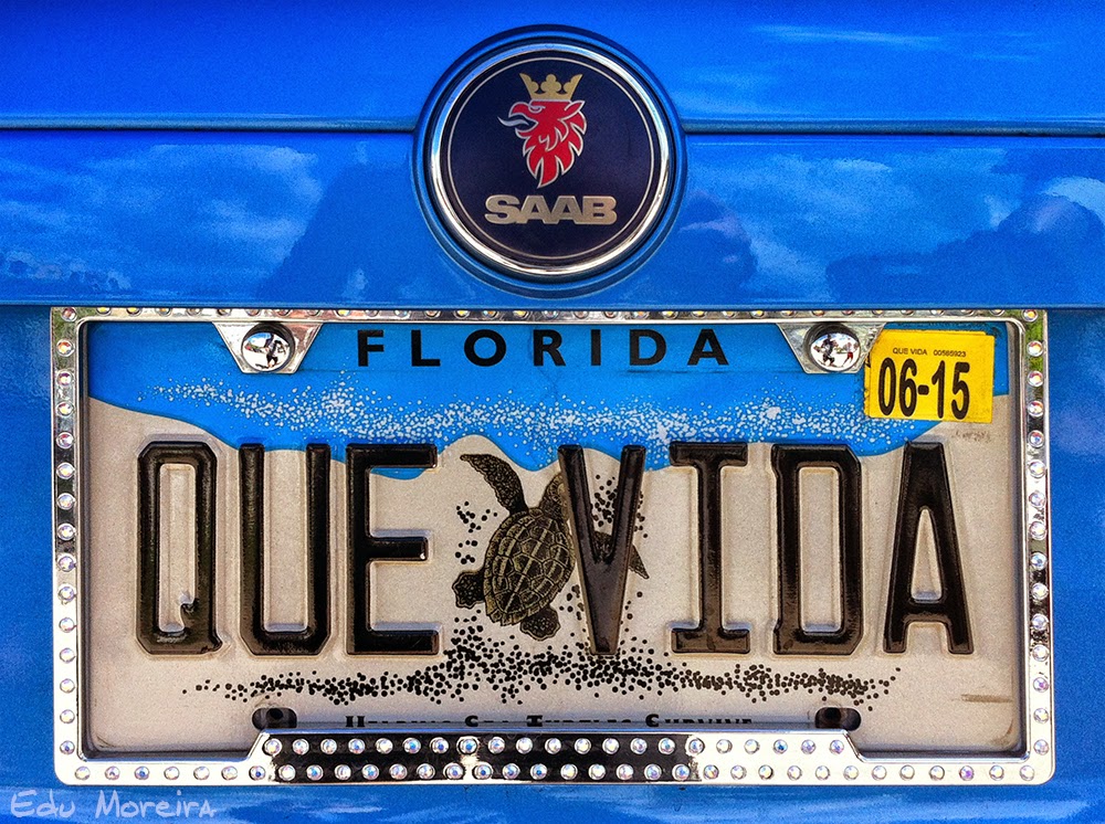 Placas De Florida Personalizadas edu.svet.gob.gt