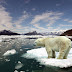 Climate Change: of Course it's Real!