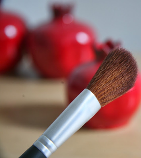 Pur Minerals Blush Makeup Brush Reviews 