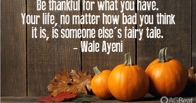 Positively Pamela: For Those Who Had to Spend Thanksgiving Alone