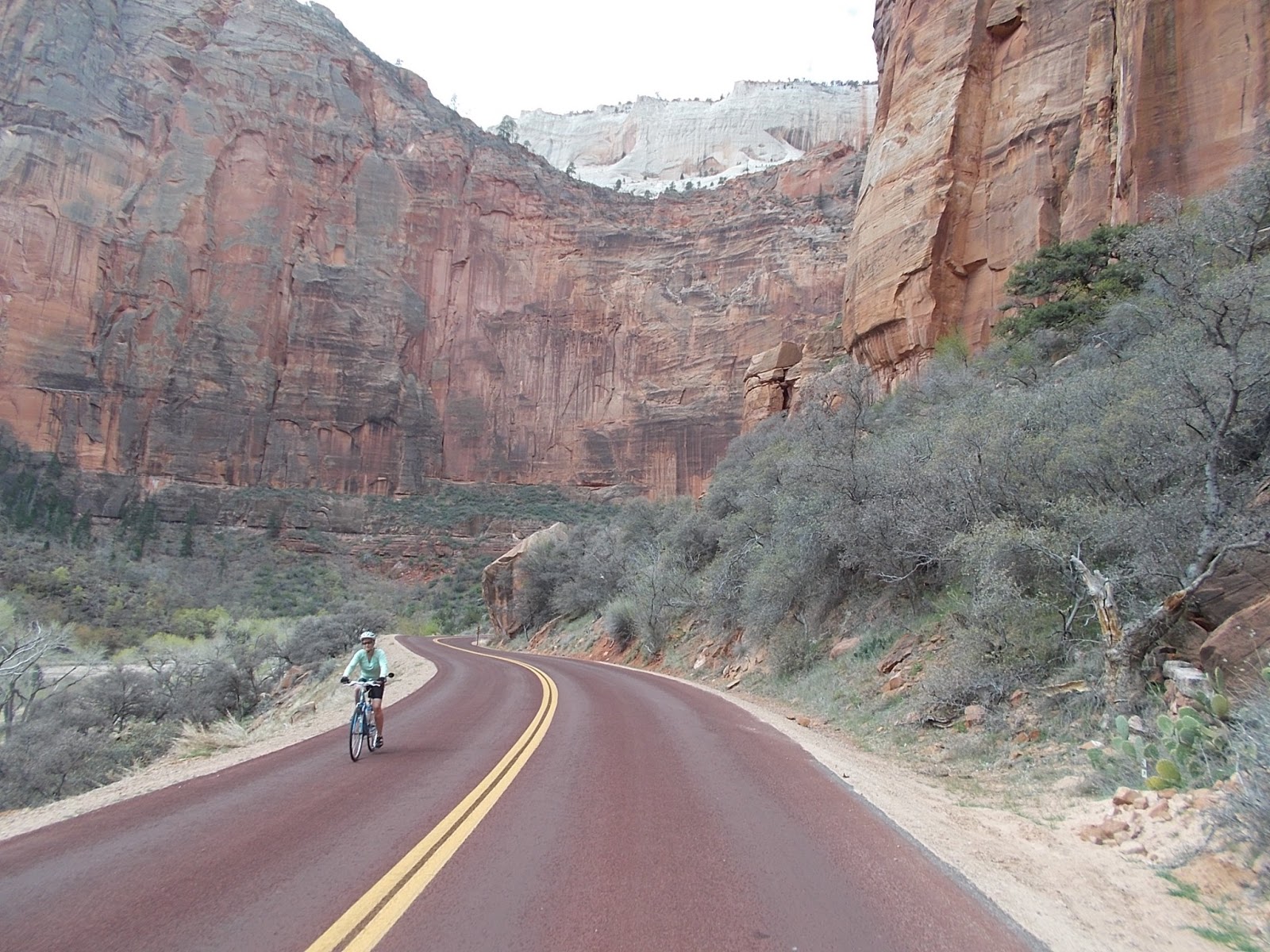 Bicycle Stories Wonderful Day To Bike At Zion Natl Park